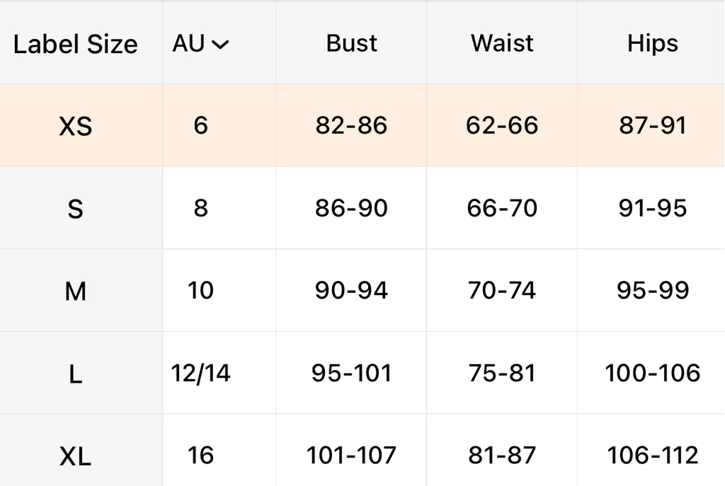 Period Costume Skirt