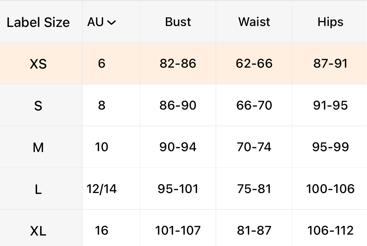 Period Costume Skirt