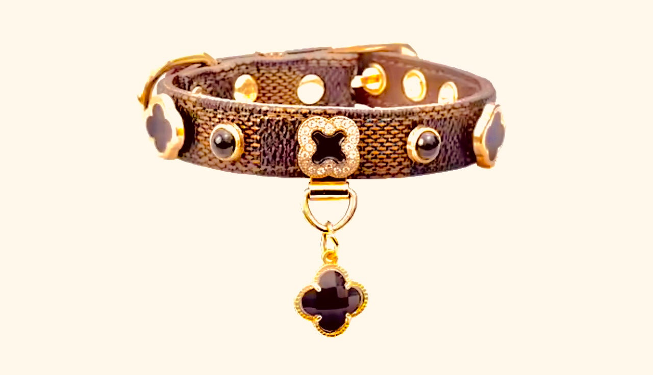 Designer Look Collar