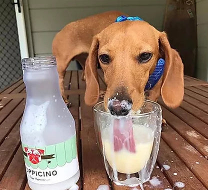 Puppicino