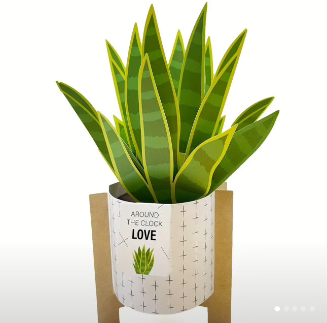 Carte de vœux 3D - Plante serpent