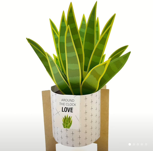 3D Greeting Card - Snake Plant