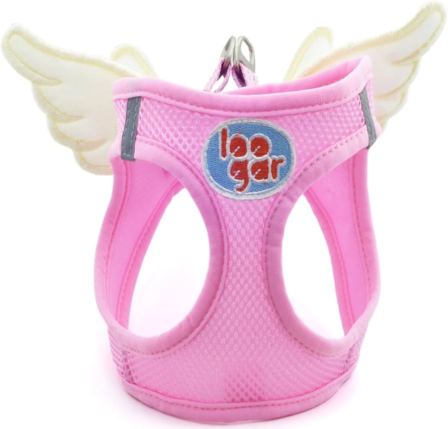 Angel Wings Dog Harness