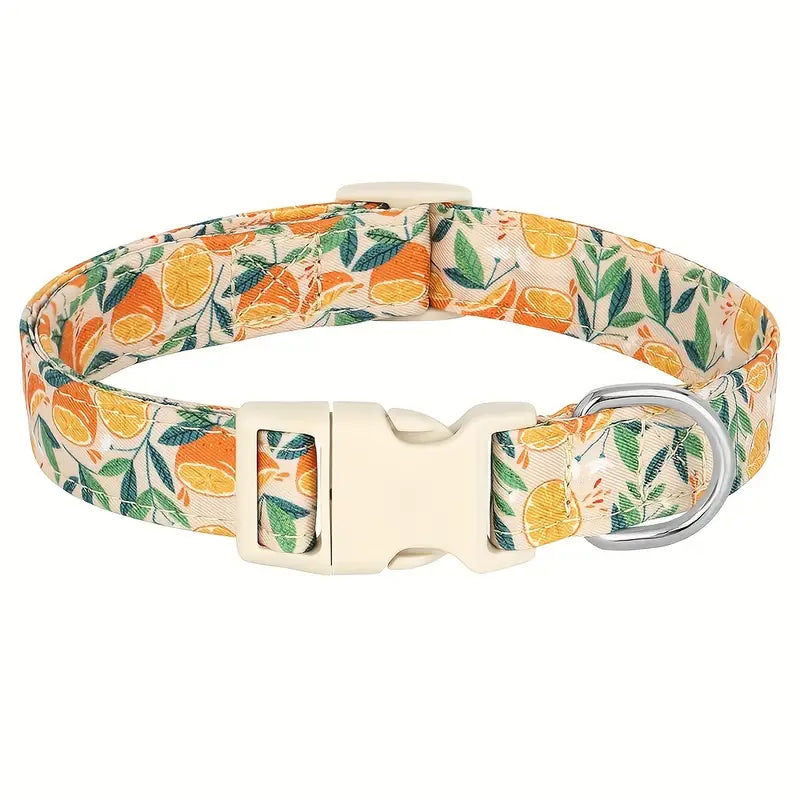 Collier pour chien Oranges