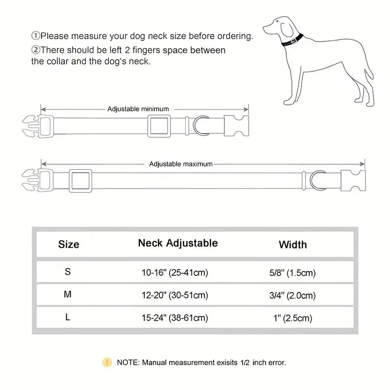 Collier pour chien Oranges