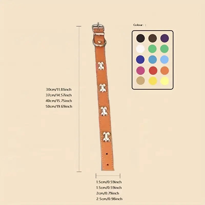 Collier pour chien Bones