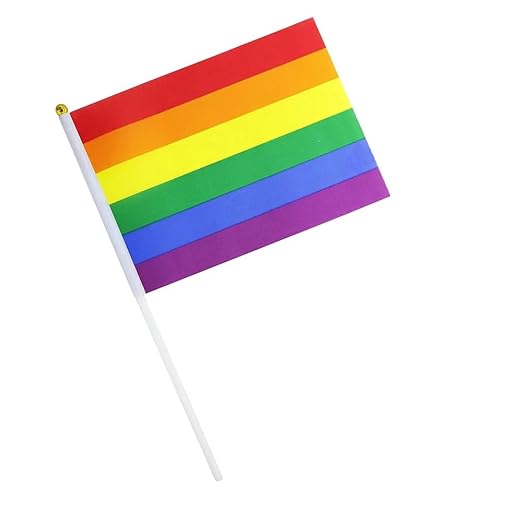 Drapeau de la fierté sur un bâton (petit)