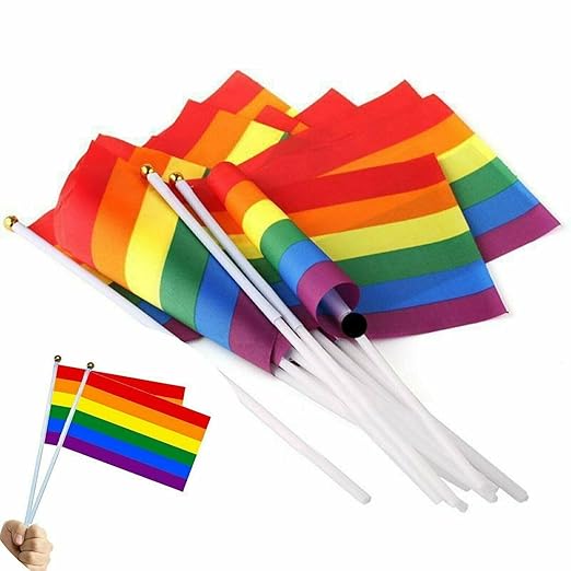Drapeau de la fierté sur un bâton (petit)