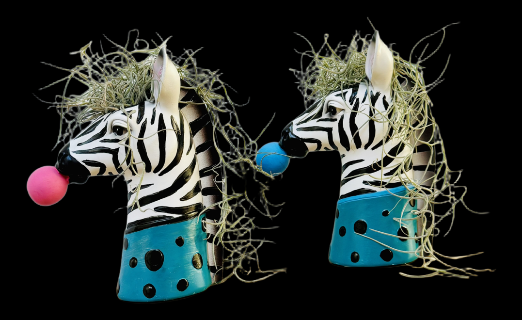 Zebra with Air Breathing Plant