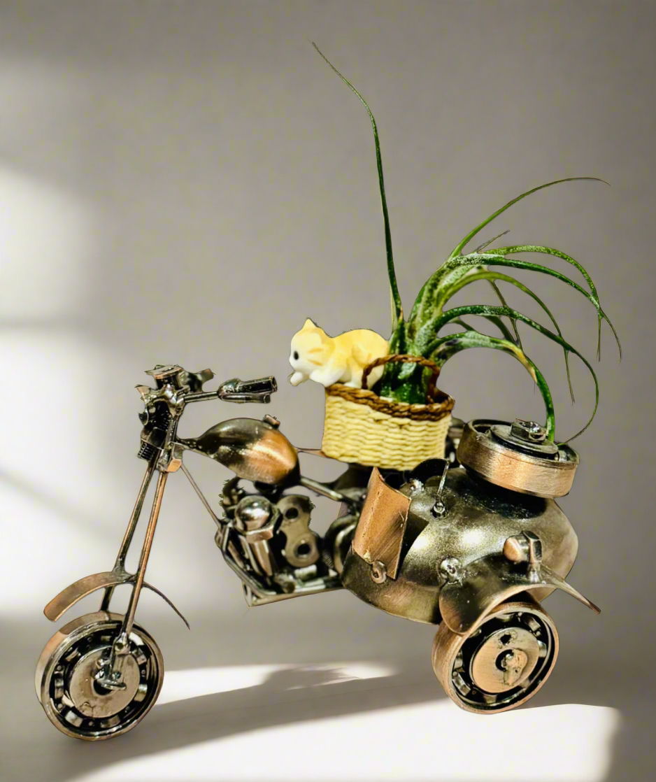 Air plant with cat in basket on Motorbike