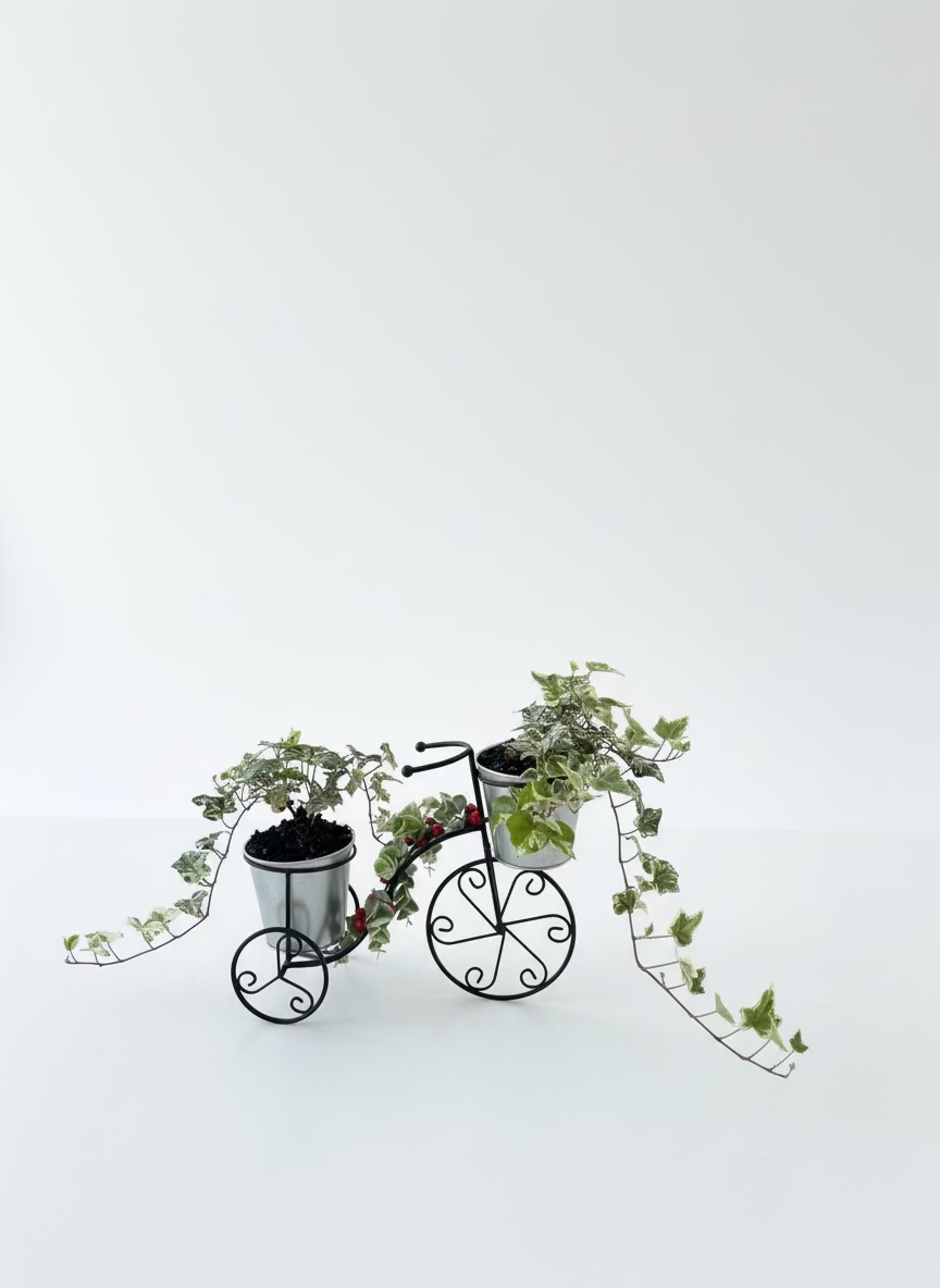 Christmas Holly Plants on Bike