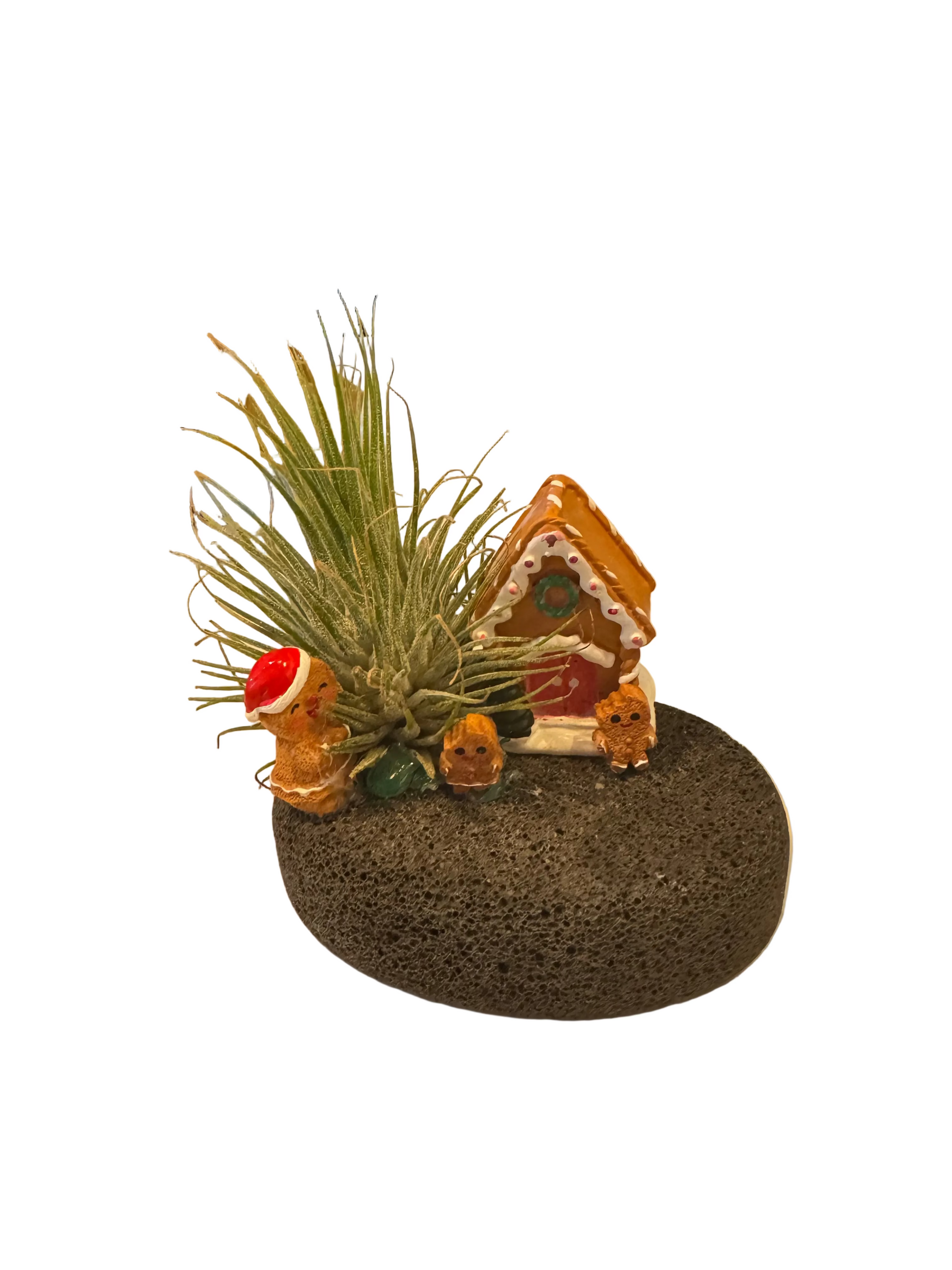 Gingerbread Air Plant Aromatherapy Diffuser