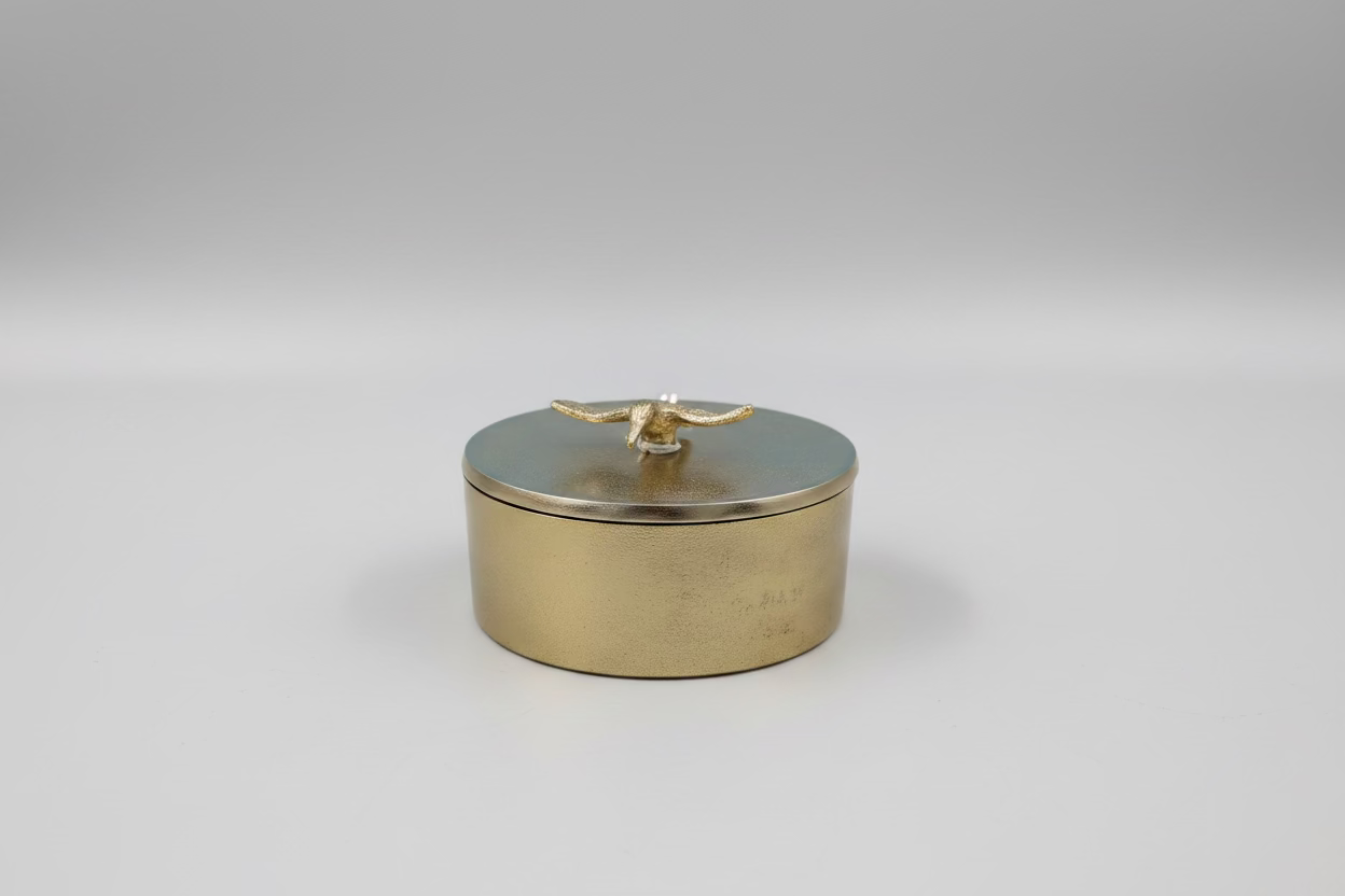 Cast Iron Bird Jewellery Box