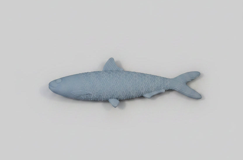 Sardine Can Erasers