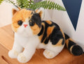 Peluche chat