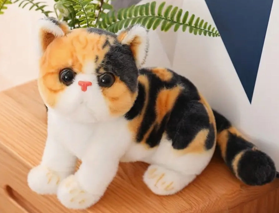 Peluche chat