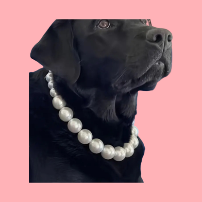 Pearl dog/ cat necklace