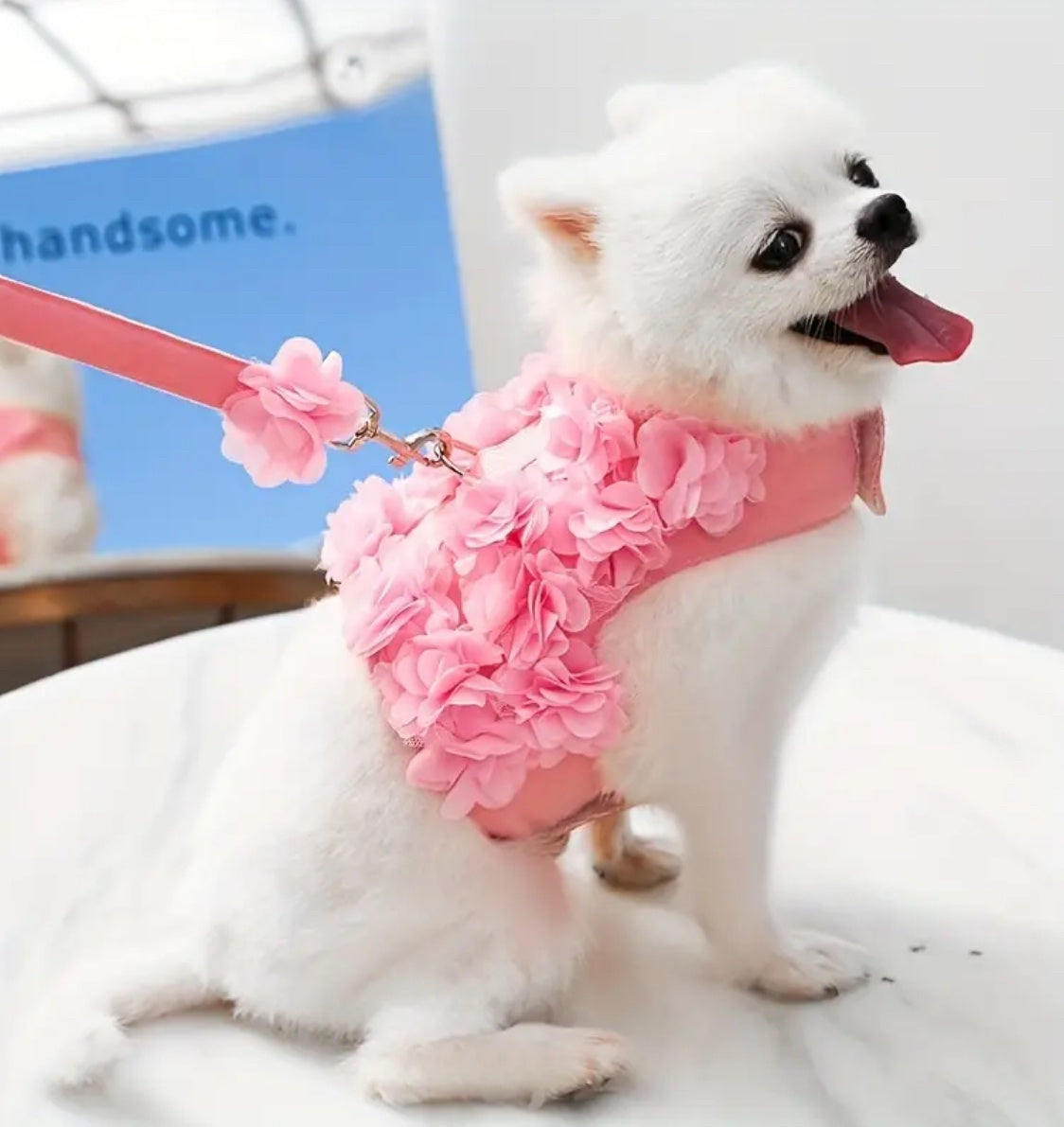 Pink flower vest with matching leash