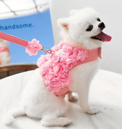 Pink flower vest with matching leash