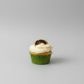 Coconut Lemon Cupcake (GF & DF)