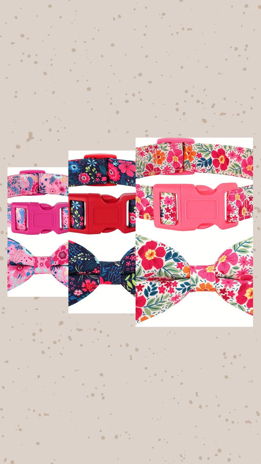 Fabric bow collar for dog or cat