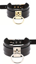 Collier en cuir avec anneau pour chien ou chat