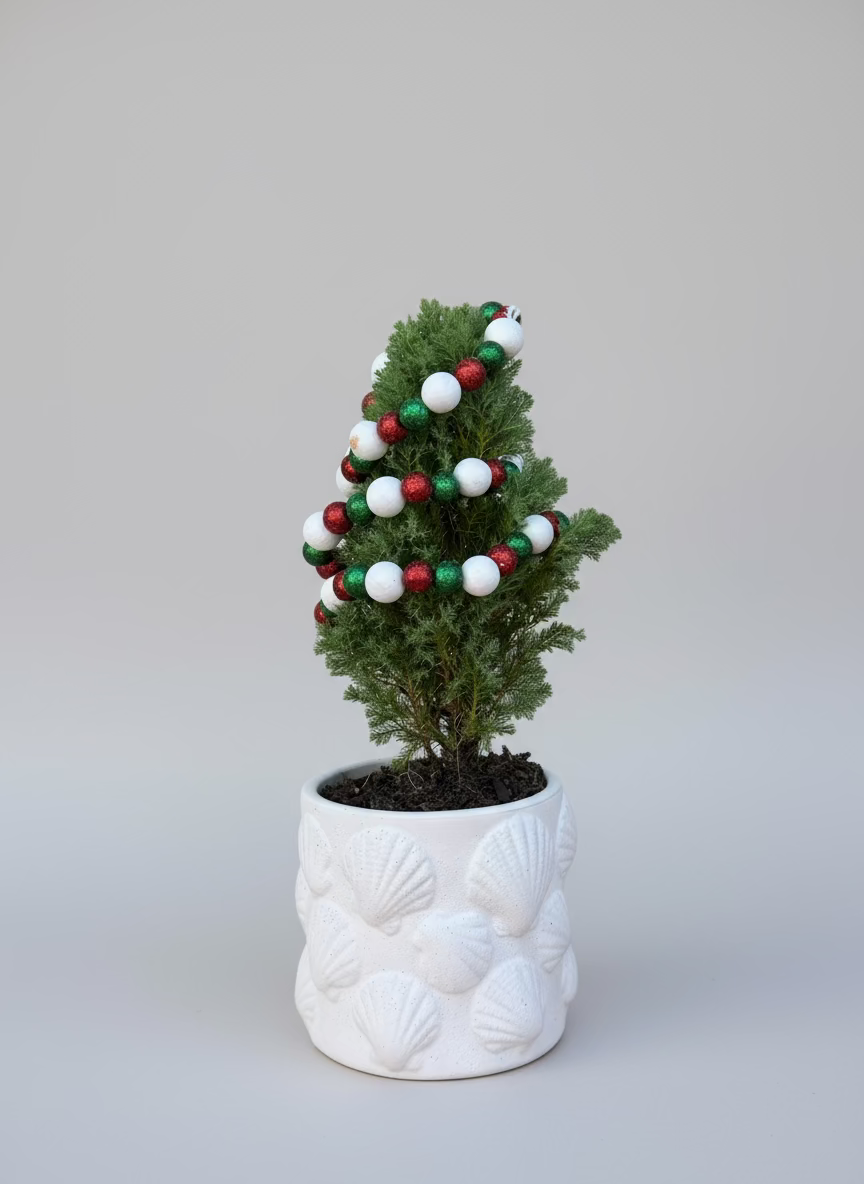 Artisan Stone Pot Plant — Christmas “Mini Tree”