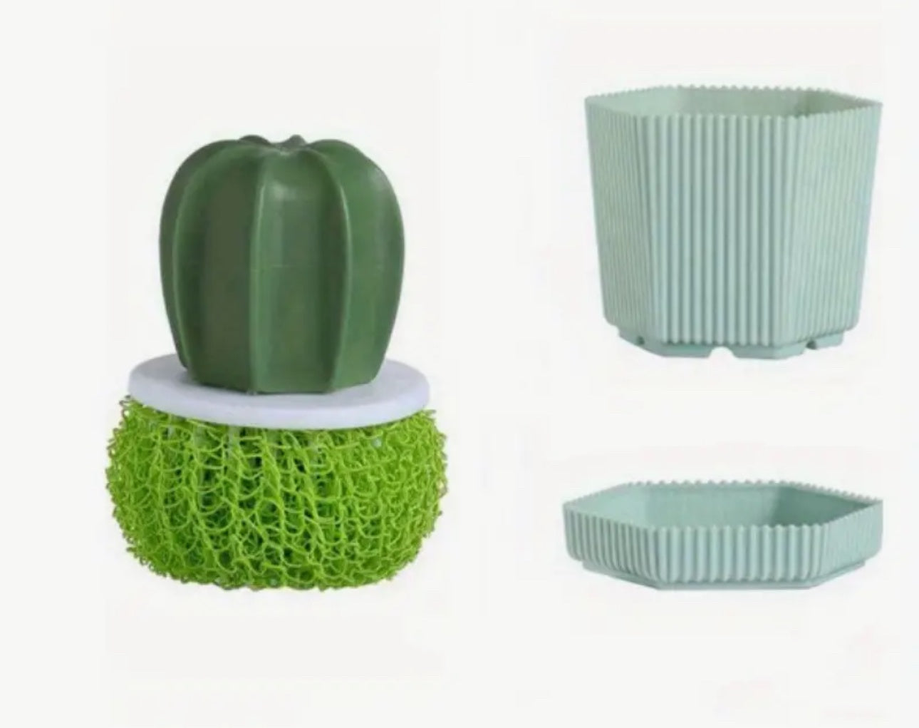 Ensemble de tampons à récurer Cactus avec tampon à récurer de rechange