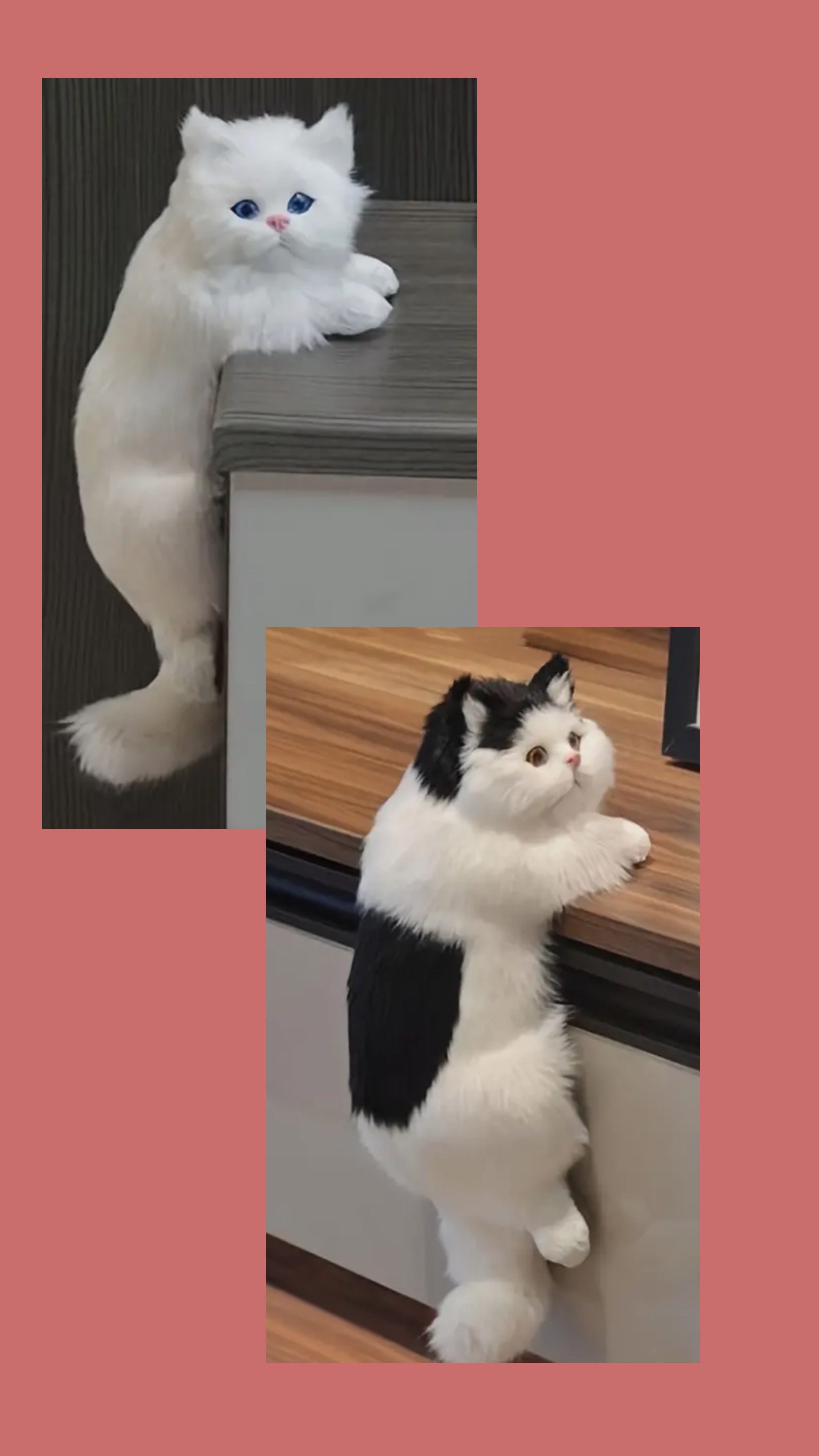 Jouet d'escalade pour chat