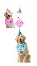 Dog or cat Birthday hat & bandana