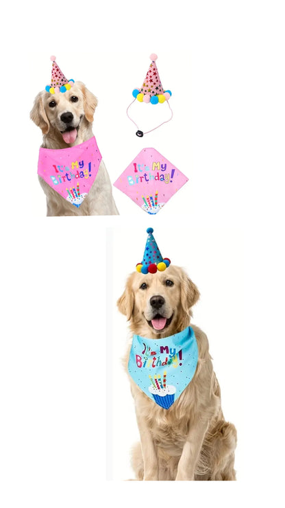 Dog or cat Birthday hat & bandana