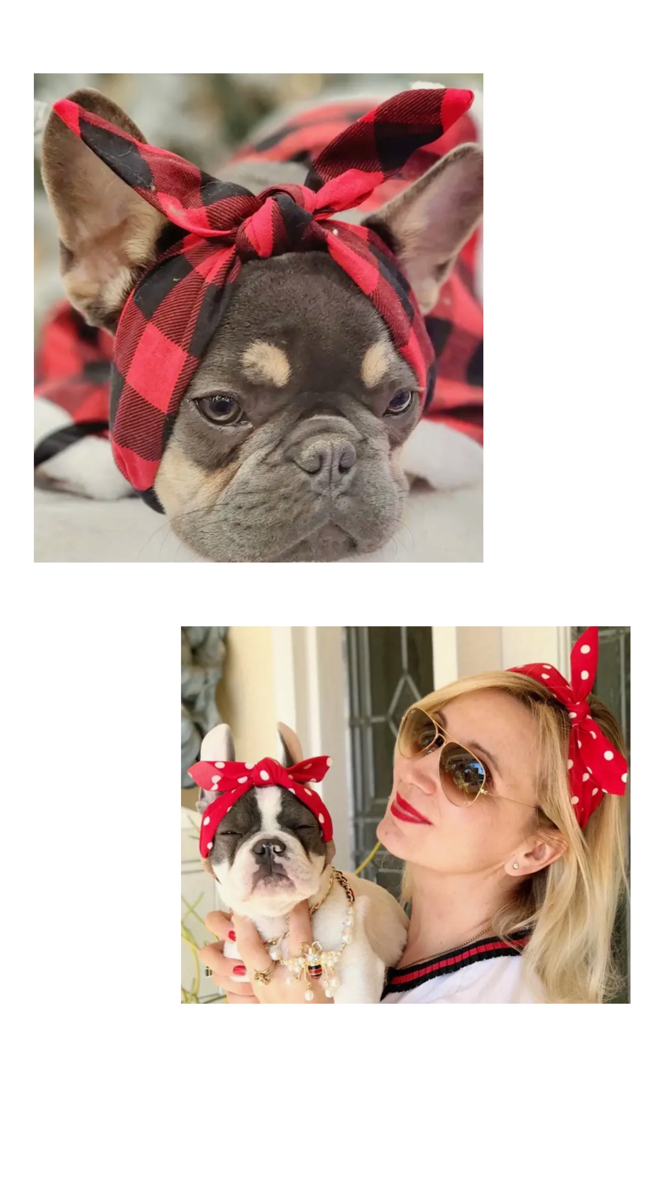 Bandana assorti pour chien ou chat et son propriétaire