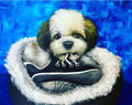 Retouches de chaussures - Par Kazz