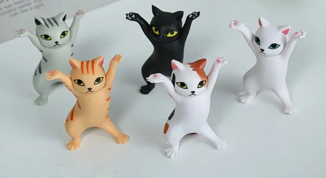 Miniature cat dancing