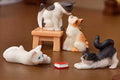 Quatre chats miniatures jouant