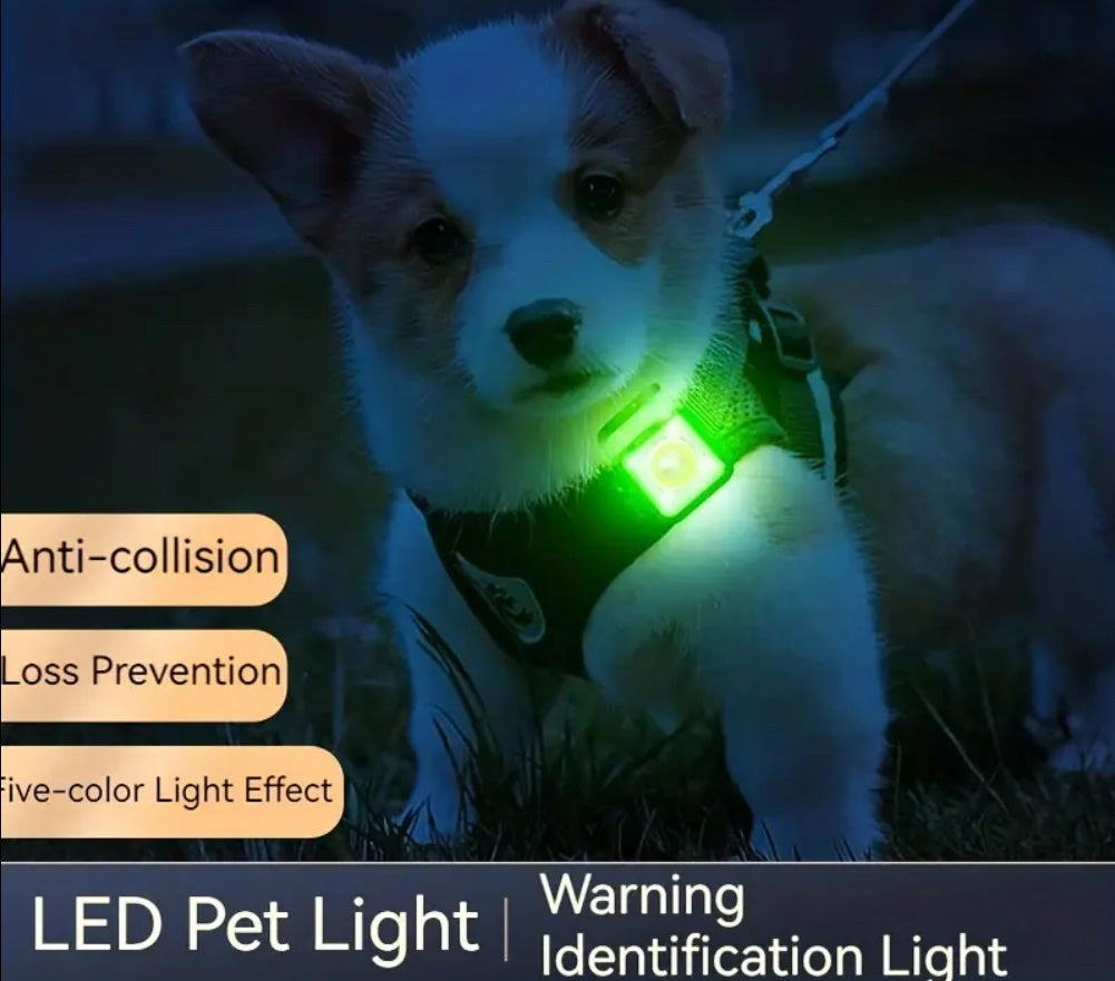 Lampe frontale portable polyvalente et décapsuleur