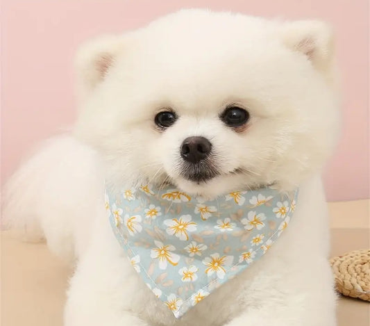 Autumn flower bandana