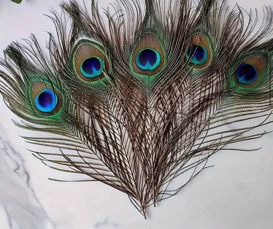 Peacock feathers