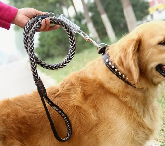 Genuine leather collar and leash set