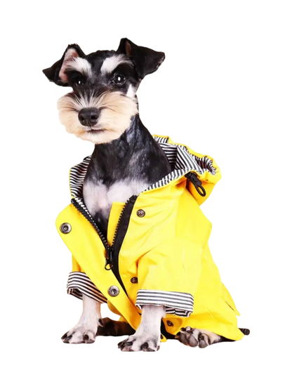 Dog Raincoat