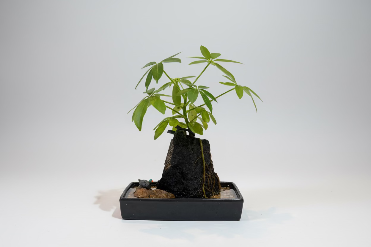 Handcrafted Duck Rock Plant