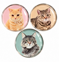 Three cat glass dome fridge magnet designs, 4cm diameter