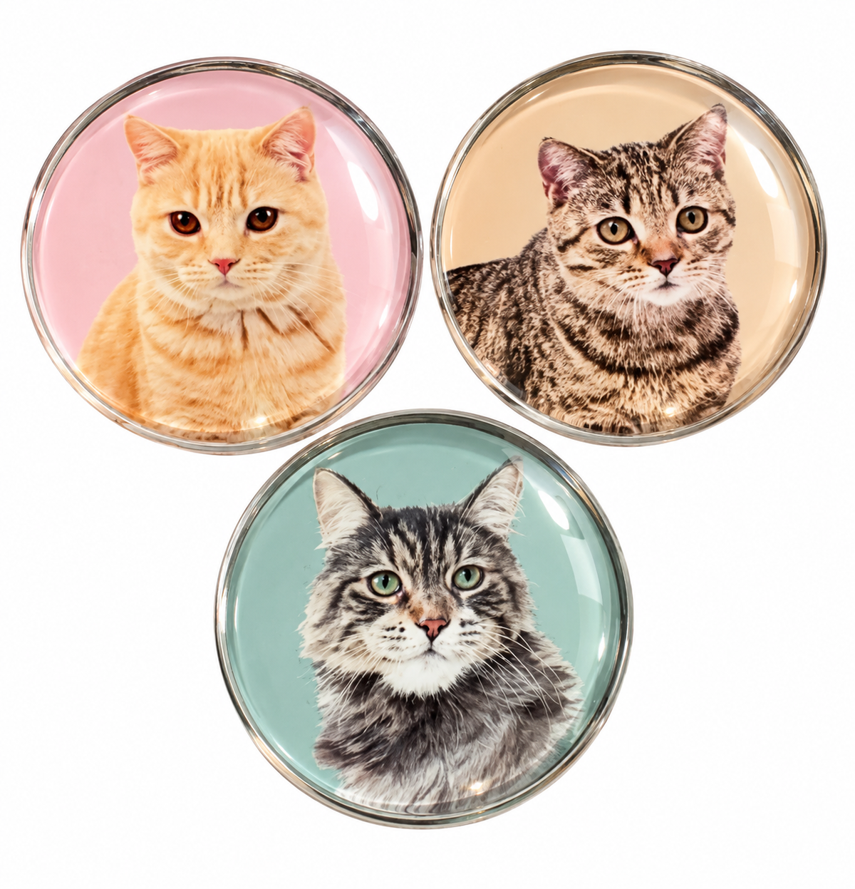 Three cat glass dome fridge magnet designs, 4cm diameter