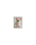 Chihuahua Birthday Princess Card