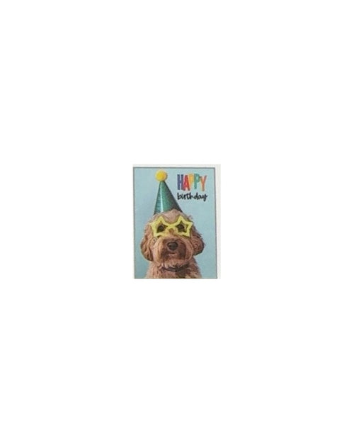 Party Dog Star Glasses Birthday Card
