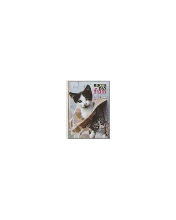 Birthday Fun Kittens Card