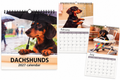 Dachshunds 2027 calendar product overview