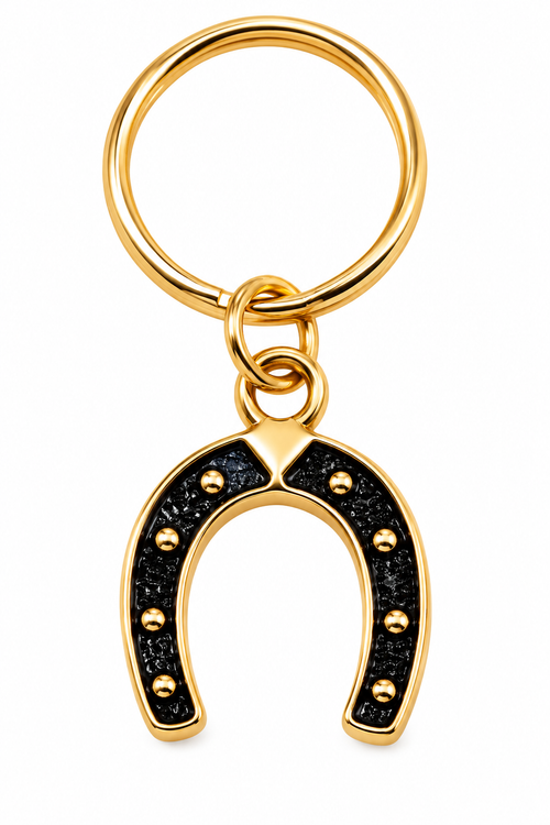 Gold-tone and black horseshoe charm alloy keyring