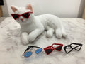 Lunettes de soleil pour chat