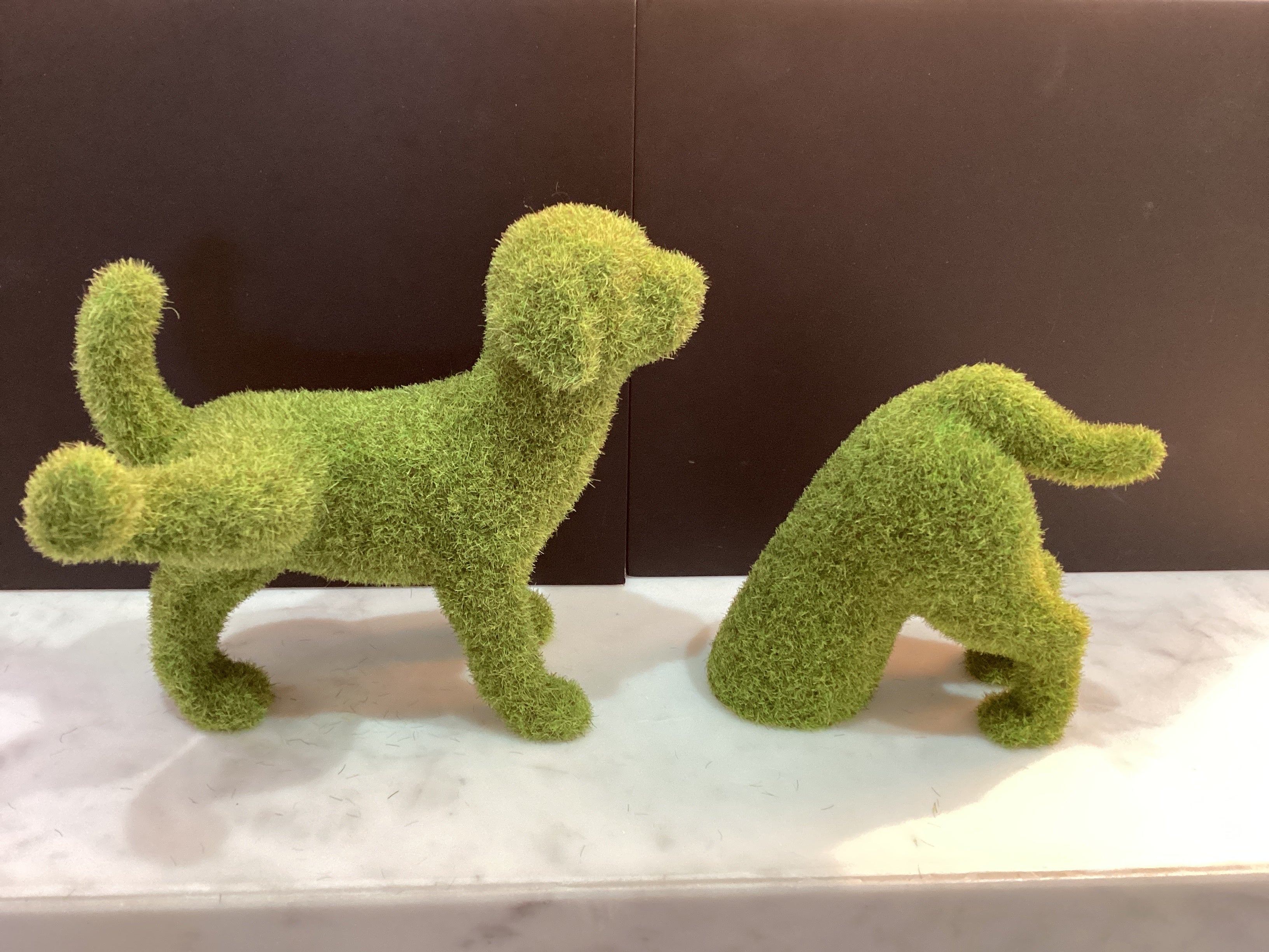 Chien d'herbe